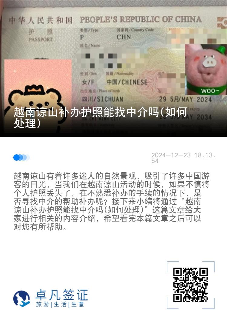 越南谅山补办护照能找中介吗(如何处理)